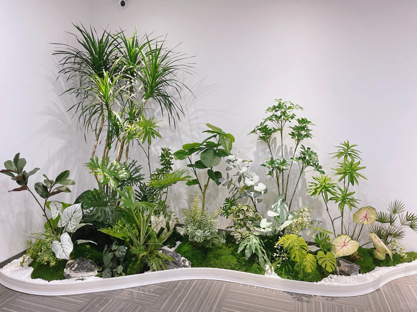 镇海绿植出租服务怎么做好？详细步骤分享